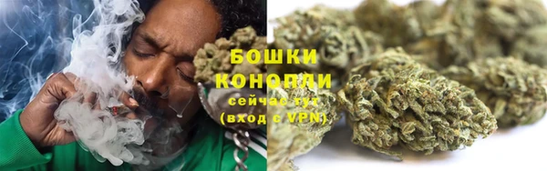 PSILOCYBIN Балабаново