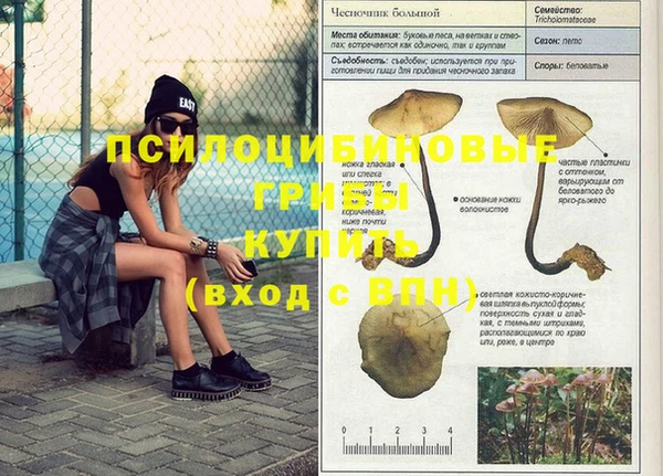 прущая мука Баксан