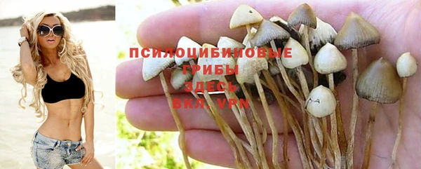 прущая мука Баксан